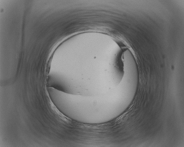 X0000081391532200702020243