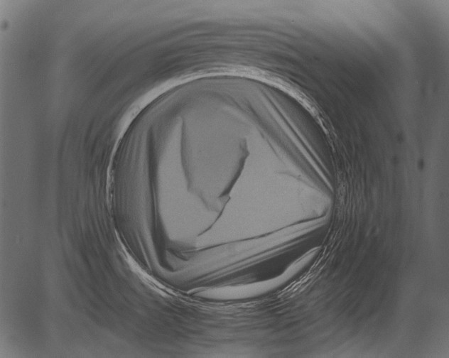 X0000081391535200702020243