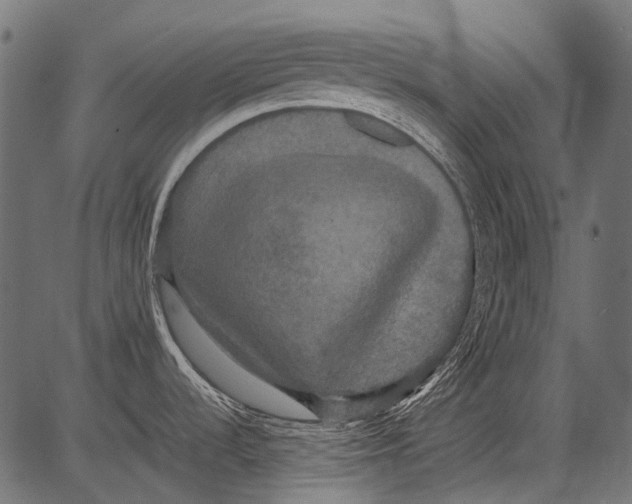 X0000081391536200702020243