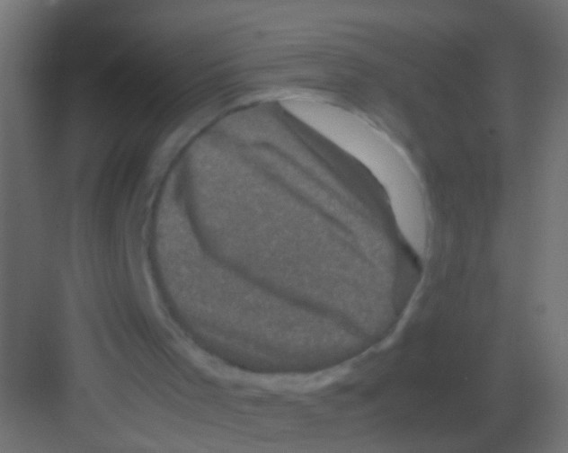 X0000081390001200702090050