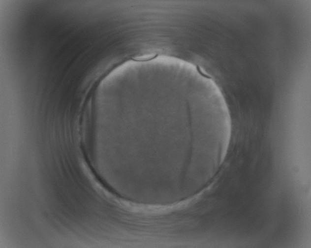 X0000081390002200702090050