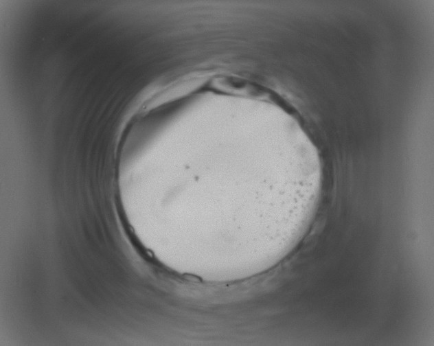 X0000081390003200702090050