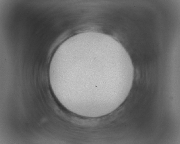 X0000081390004200702090050