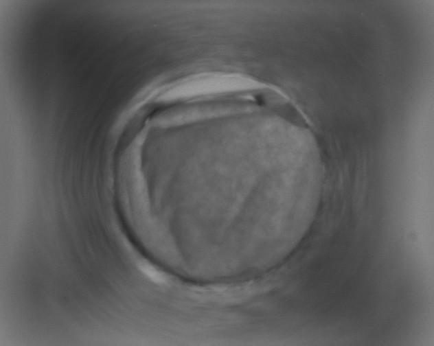 X0000081390005200702090050