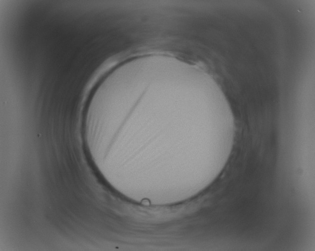 X0000081390006200702090050