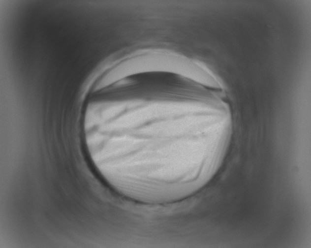 X0000081390007200702090050