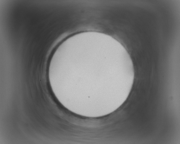 X0000081390008200702090050