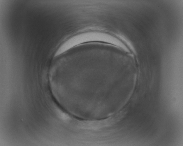 X0000081390009200702090050