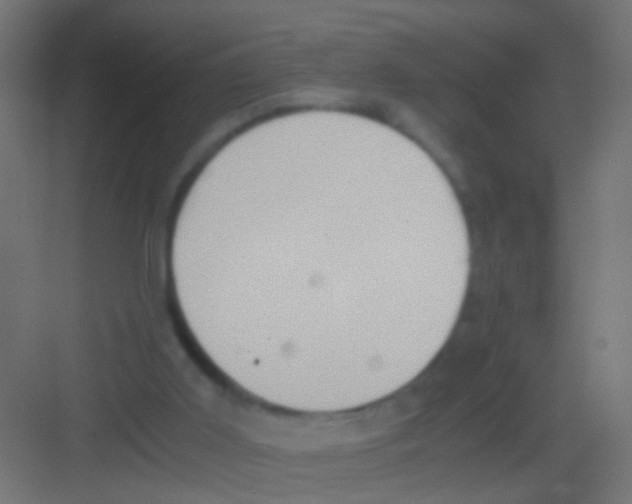 X0000081390011200702090050