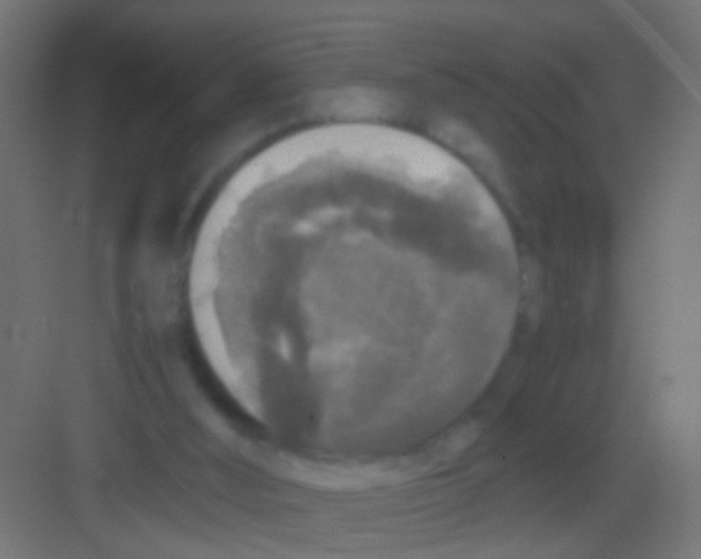 X0000081390012200702090050