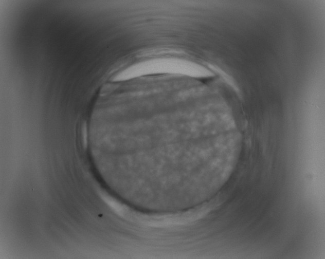 X0000081390013200702090049