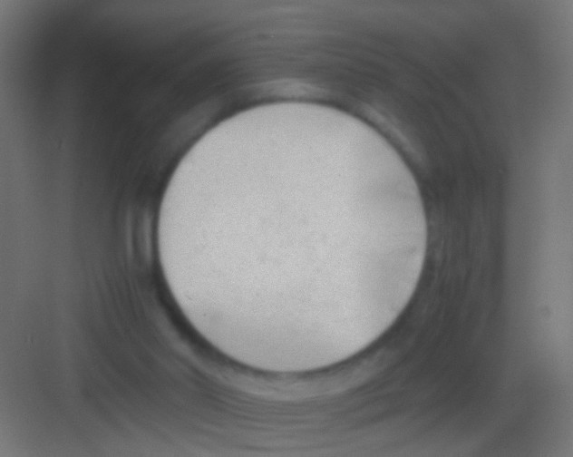 X0000081390014200702090049