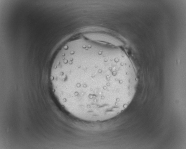 X0000081390015200702090049