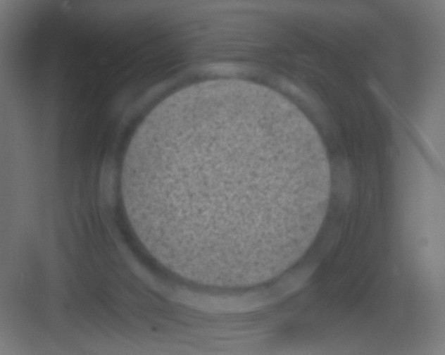 X0000081390016200702090049