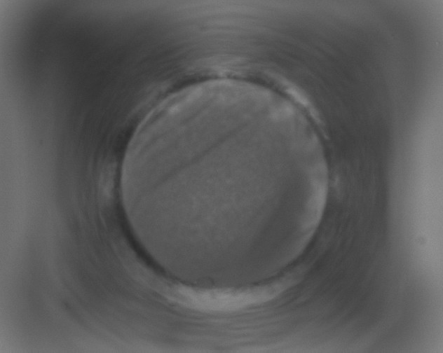 X0000081390018200702090049