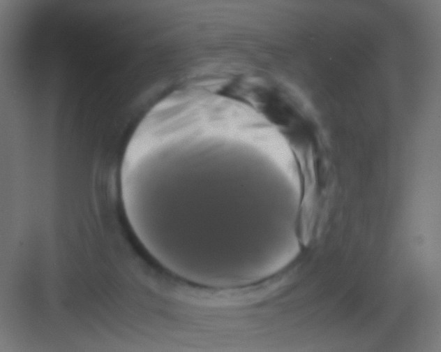 X0000081390019200702090049