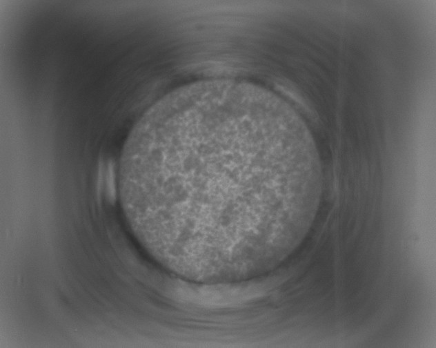 X0000081390022200702090049