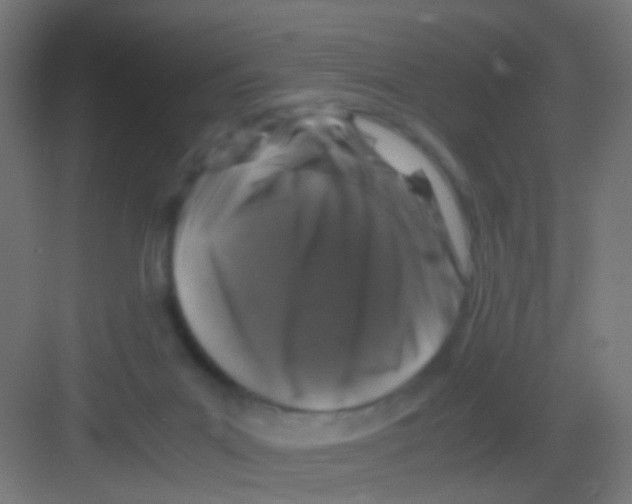 X0000081390023200702090049