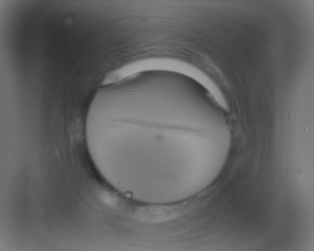 X0000081390025200702090049