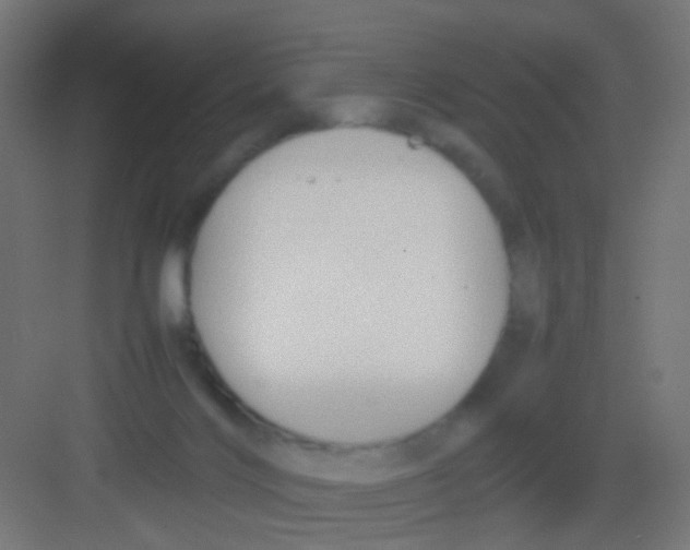 X0000081390028200702090049