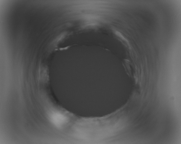 X0000081390029200702090049