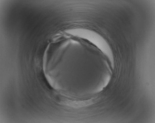 X0000081390031200702090049