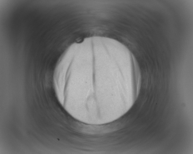 X0000081390034200702090049