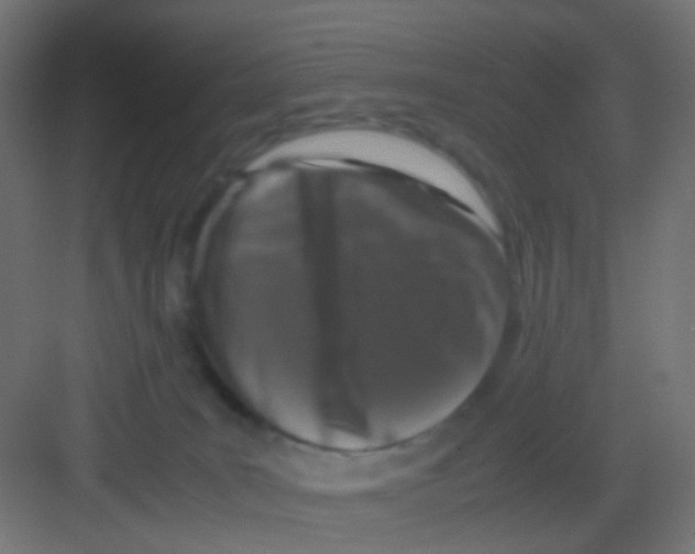 X0000081390035200702090049