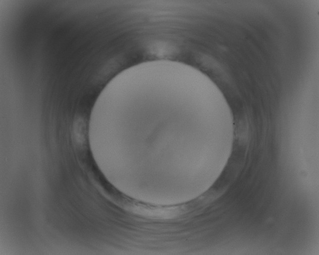 X0000081390036200702090049