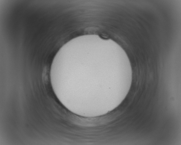 X0000081390038200702090049