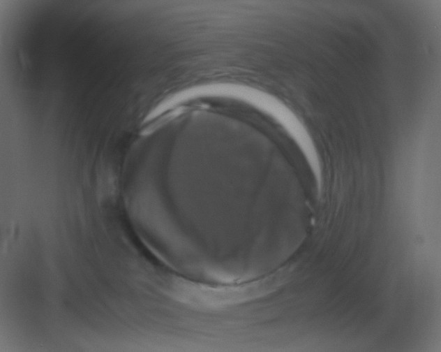 X0000081390039200702090049