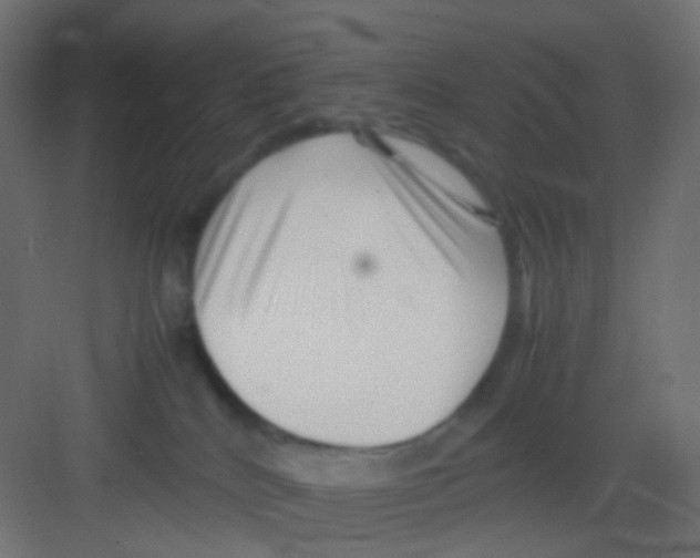 X0000081390040200702090049