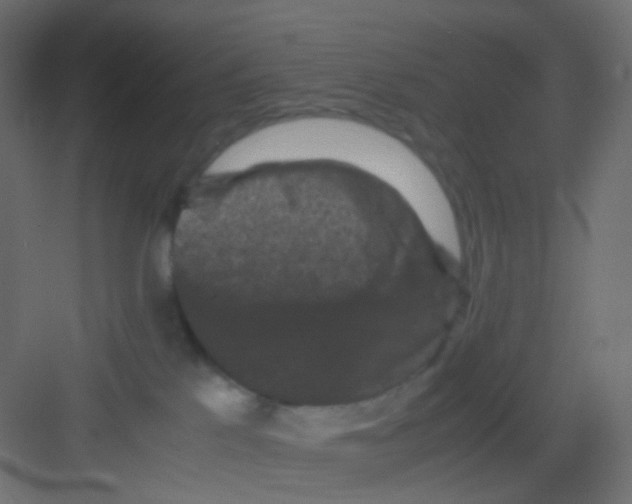 X0000081390041200702090049