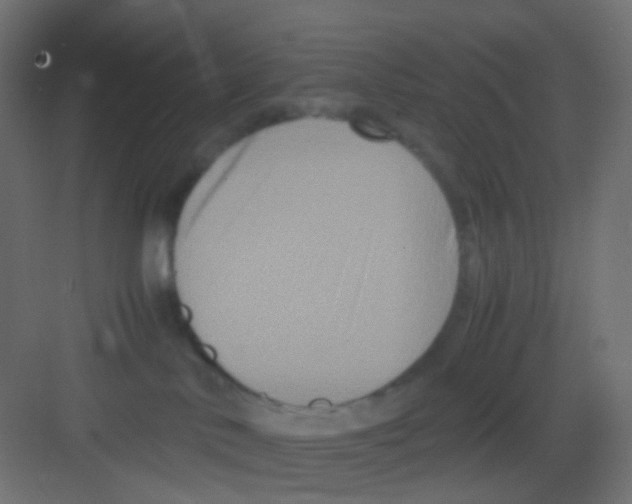 X0000081390042200702090049