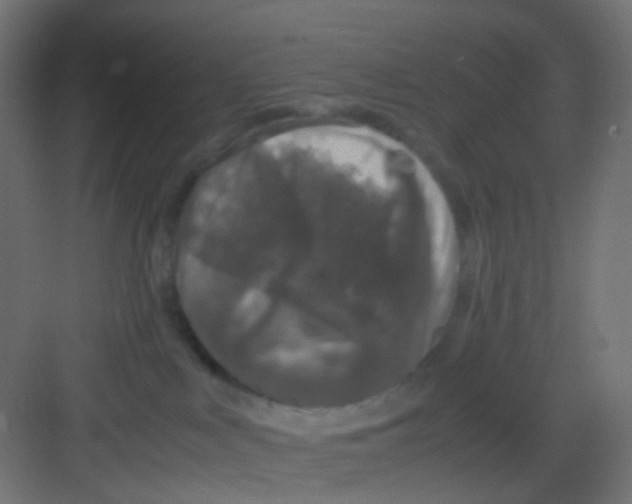 X0000081390043200702090049