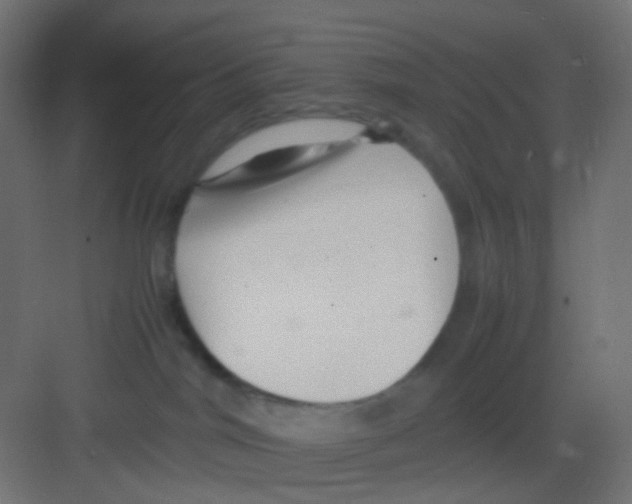 X0000081390044200702090049