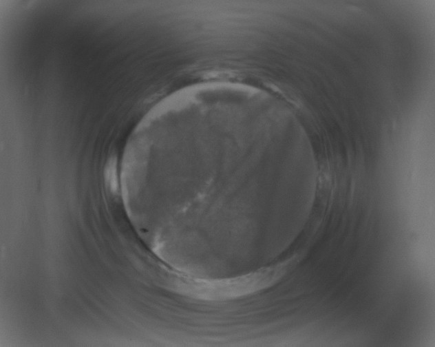 X0000081390046200702090049