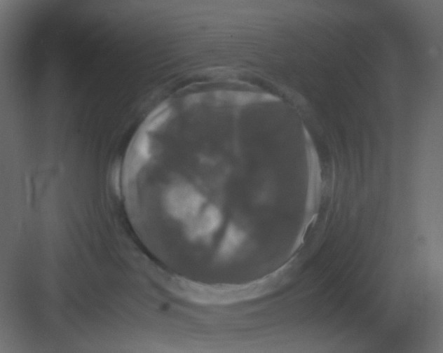 X0000081390047200702090049