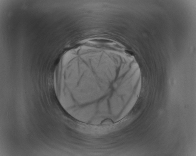 X0000081390048200702090049