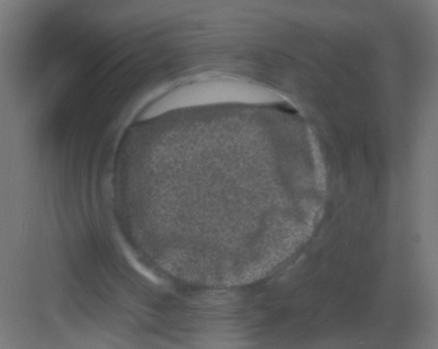 X0000081390050200702090048