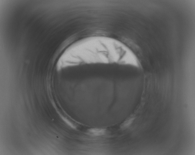 X0000081390051200702090048