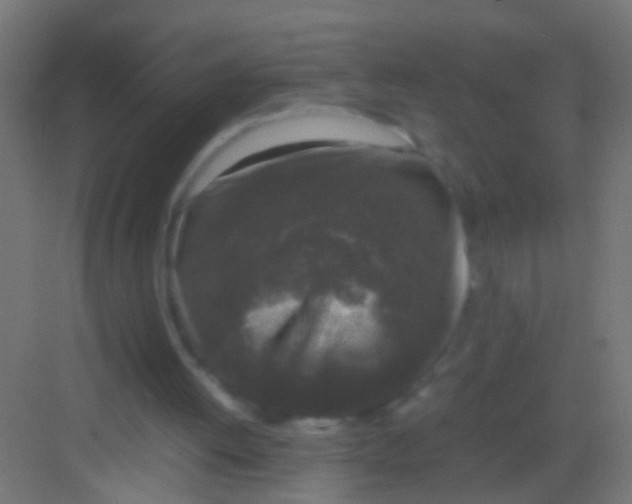 X0000081390052200702090048