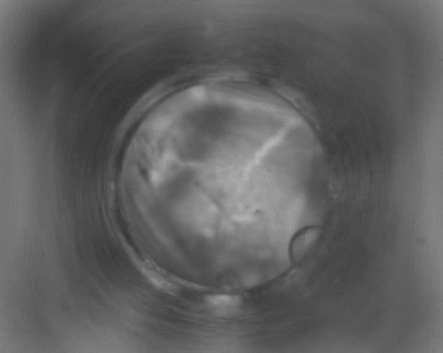 X0000081390053200702090048