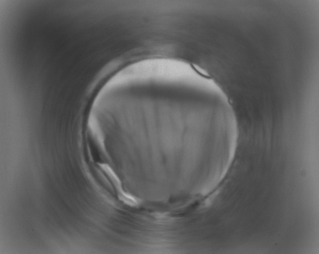 X0000081390054200702090048