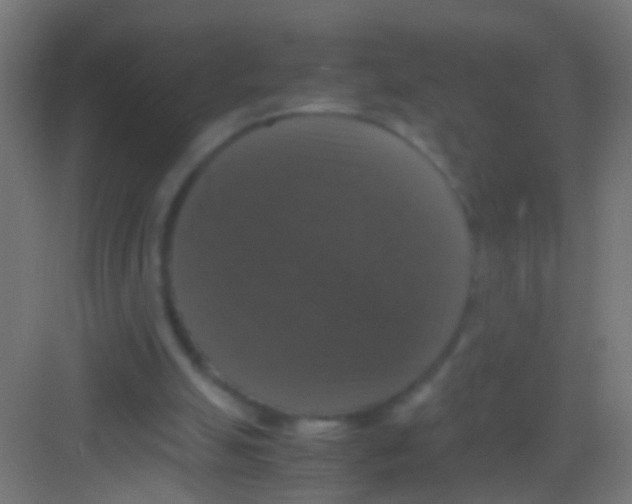 X0000081390055200702090048