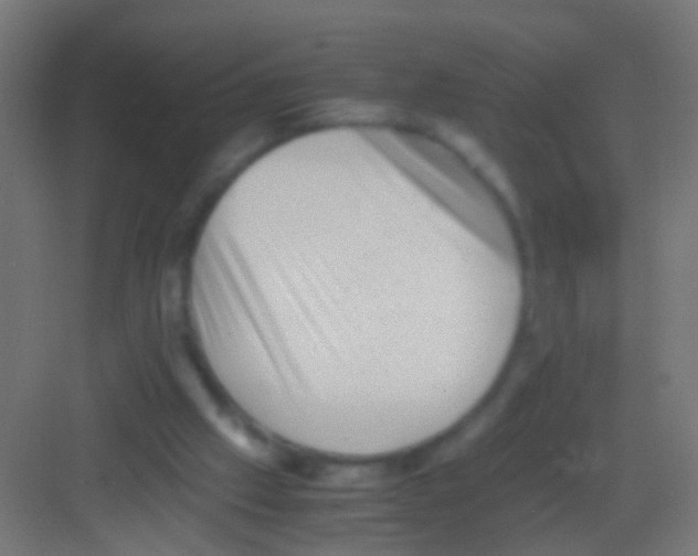 X0000081390057200702090048