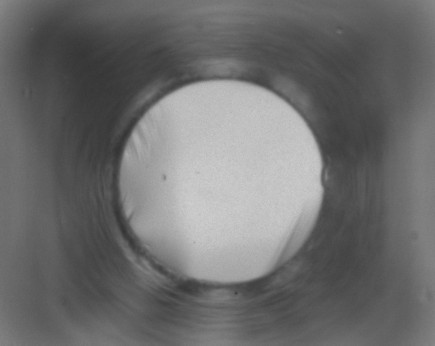 X0000081390058200702090048