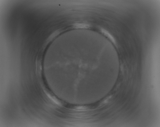 X0000081390059200702090048