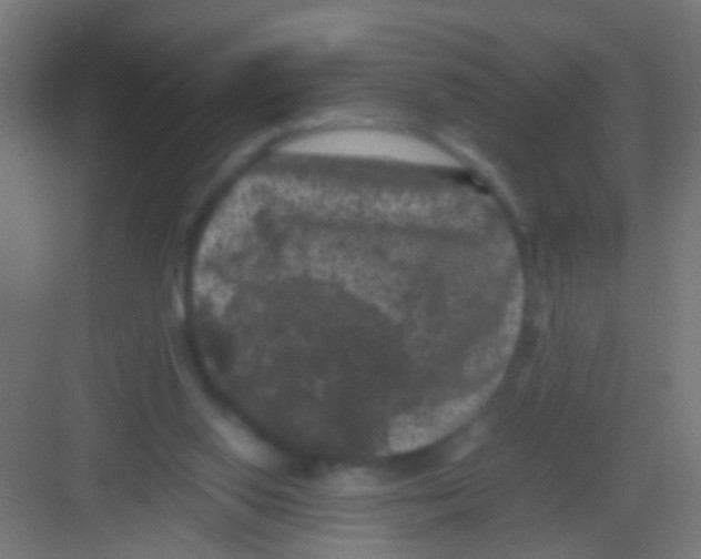 X0000081390062200702090048