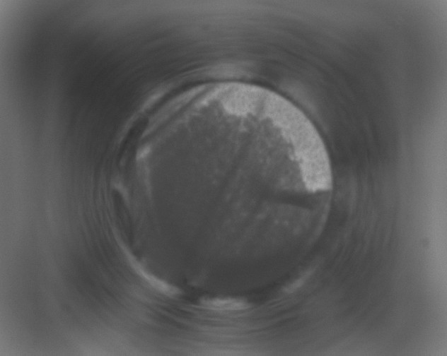 X0000081390063200702090048